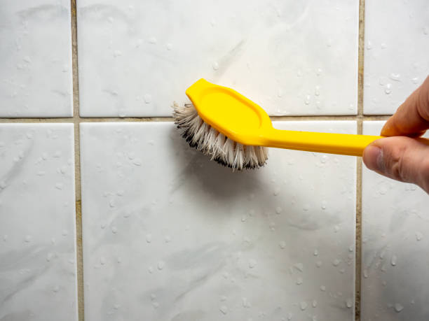 Best Localized Mold Remediation (e.g., coastal areas, humid climates) in Belton, MO